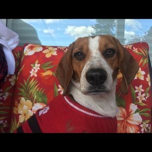 Meet your Posher, Leah